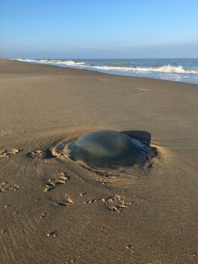 Vila Mar Y Luz Koksijde Exteriér fotografie
